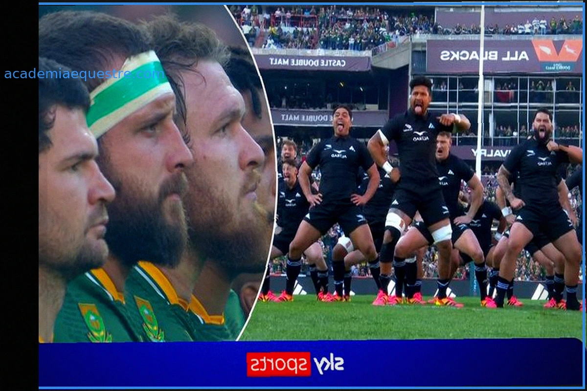 All Blacks Superam os Springboks no Primeiro Teste Surpreendente no Ellis Park